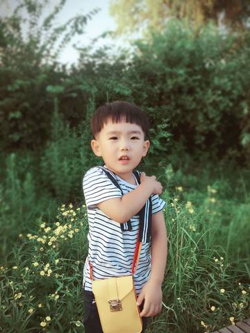 journal_insert_pic_798298686