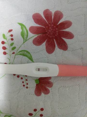 journal_insert_pic_797687130