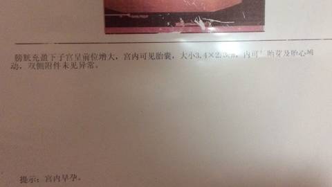 journal_insert_pic_798921476
