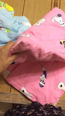 journal_insert_pic_799066679
