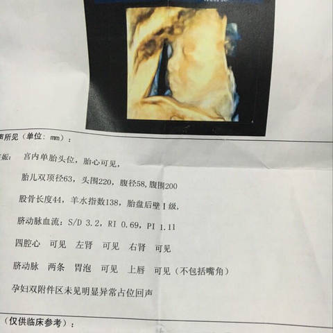 journal_insert_pic_799615401