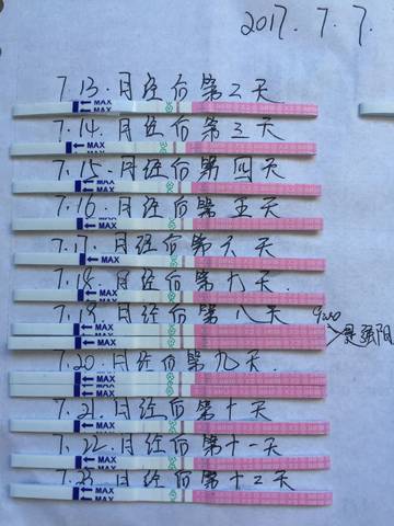 journal_insert_pic_799302567