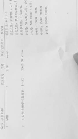 journal_insert_pic_799647427