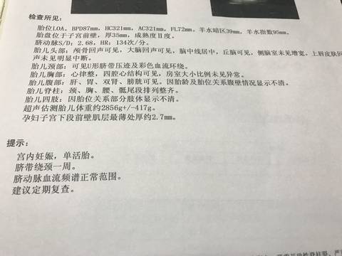 journal_insert_pic_800210145