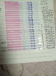 journal_insert_pic_800494230