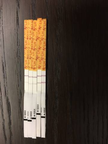 journal_insert_pic_800383861