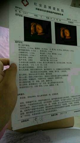 journal_insert_pic_800578271
