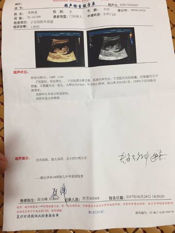 journal_insert_pic_800499385