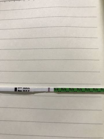 journal_insert_pic_800752423
