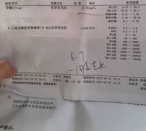 journal_insert_pic_801903156