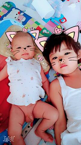 journal_insert_pic_801371324