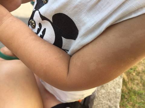 journal_insert_pic_802238719