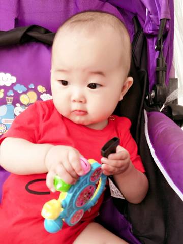 journal_insert_pic_802599667
