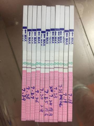 journal_insert_pic_802811147