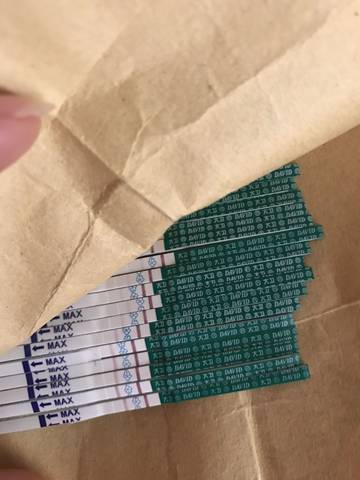 journal_insert_pic_803212217