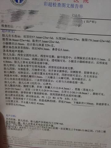 journal_insert_pic_803005347