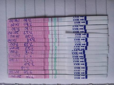 journal_insert_pic_803265347