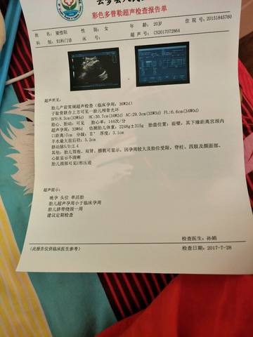 journal_insert_pic_803780036