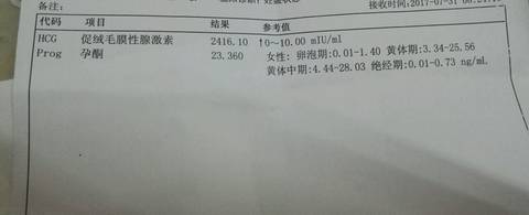 journal_insert_pic_804440003