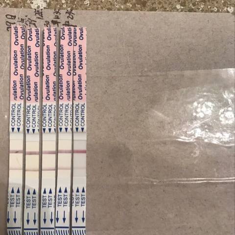 journal_insert_pic_803961406
