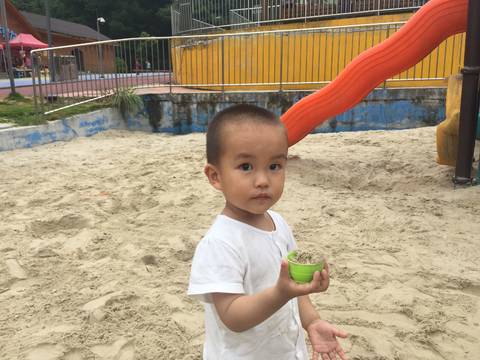 journal_insert_pic_804508121