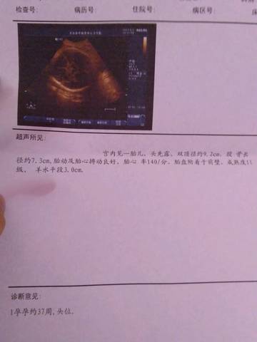 journal_insert_pic_805034770