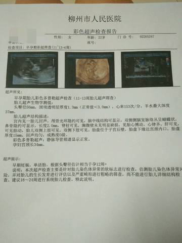 journal_insert_pic_805406549