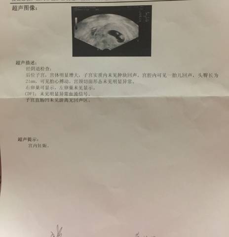 journal_insert_pic_805557340