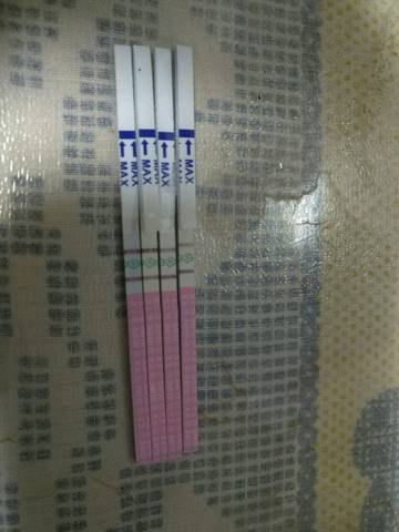 journal_insert_pic_806129553