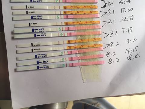 journal_insert_pic_806035815