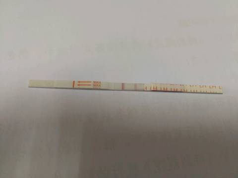 journal_insert_pic_806064236