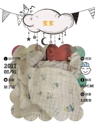 journal_insert_pic_806864210
