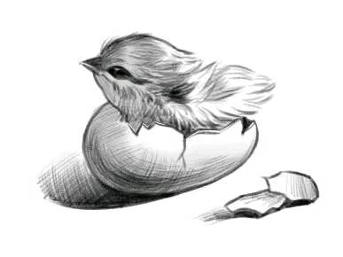 journal_insert_pic_807653074
