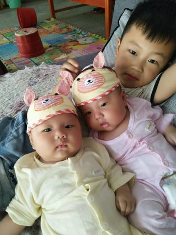 journal_insert_pic_808829056