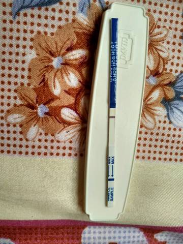 journal_insert_pic_808969553