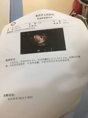 journal_insert_pic_809698681