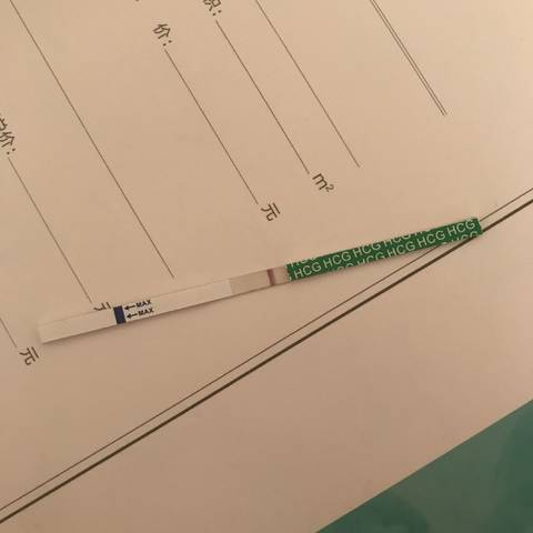 journal_insert_pic_809554486