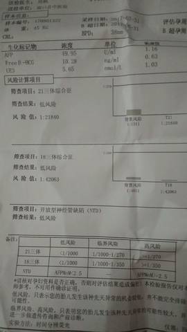 journal_insert_pic_809920004