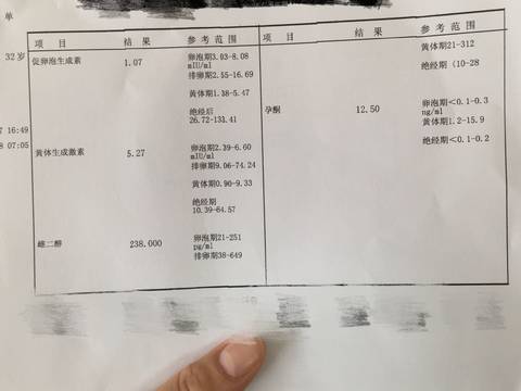 journal_insert_pic_810631616