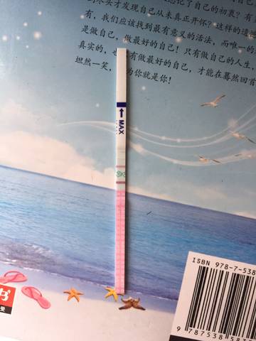 journal_insert_pic_810317945