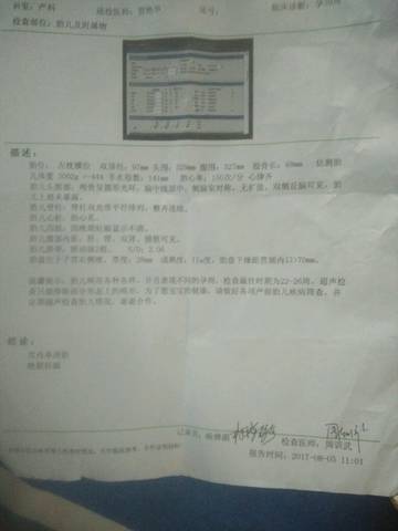 journal_insert_pic_810504182