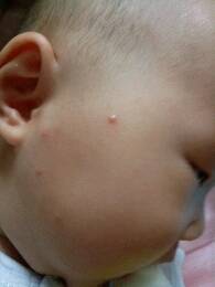 journal_insert_pic_810268940