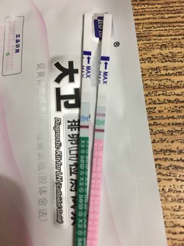 journal_insert_pic_810830532