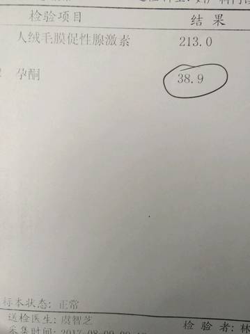 journal_insert_pic_811423835