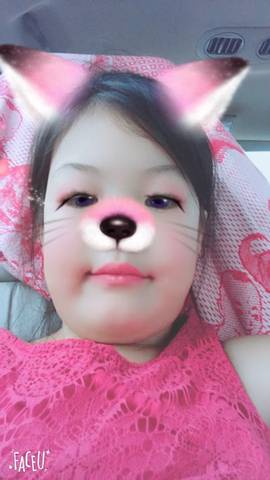 journal_insert_pic_811399352