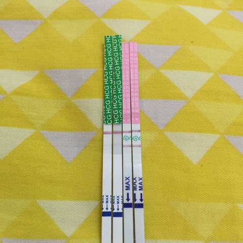 journal_insert_pic_812412627