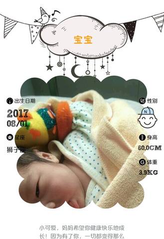 journal_insert_pic_811840052