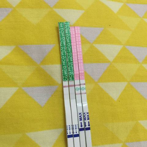 journal_insert_pic_812412645