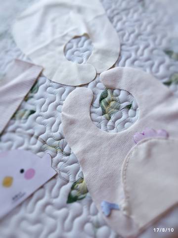 journal_insert_pic_812717407