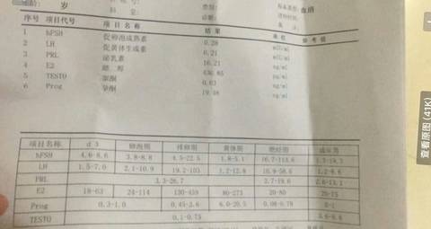 journal_insert_pic_812922595